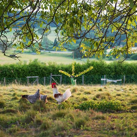 Les Herbesfolles De Oizy エクステリア 写真